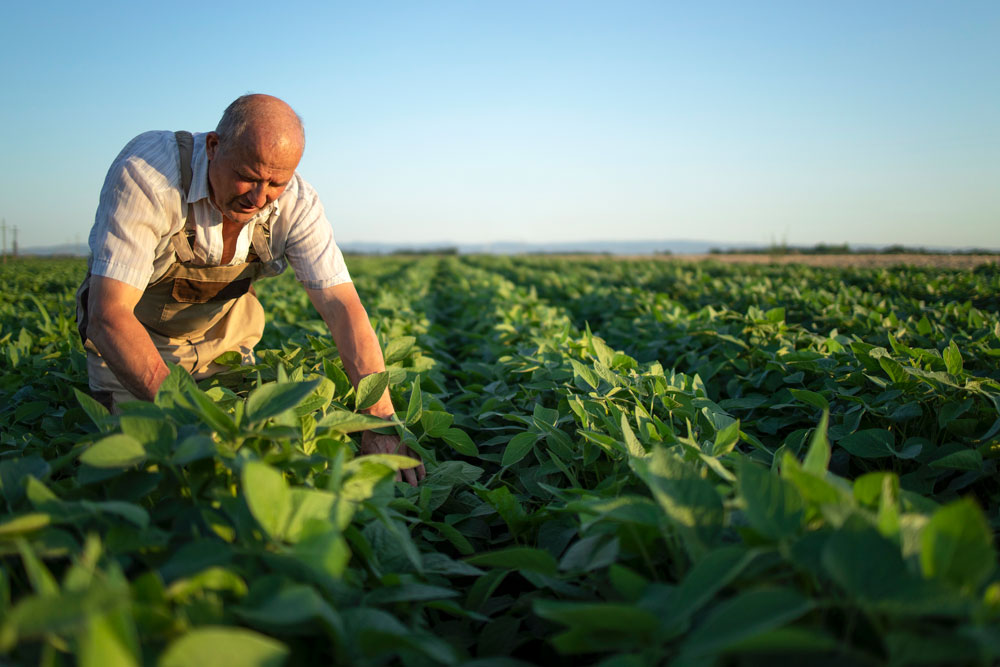 Agriculture-2-Naturapole