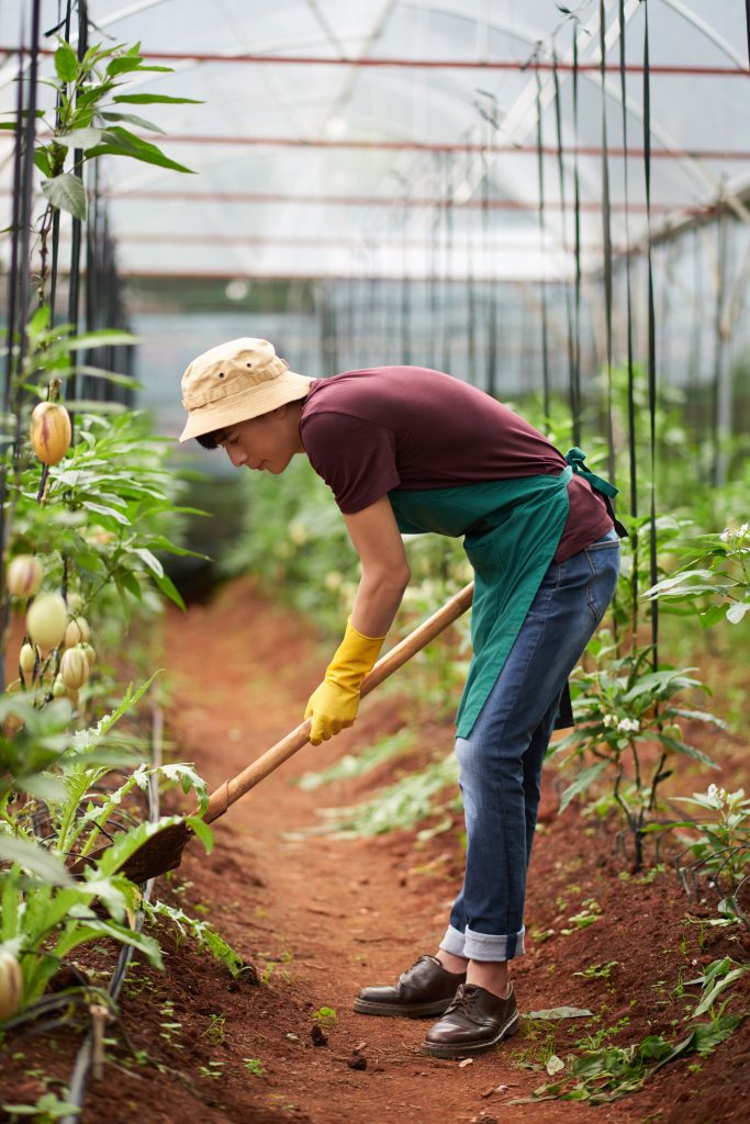 naturapole-agronomie-cultures