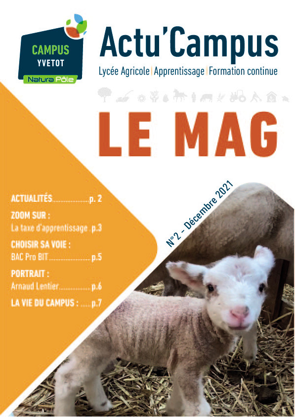 actu-magN2