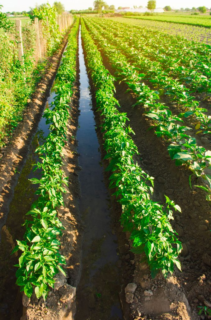 naturapole-production-agricole